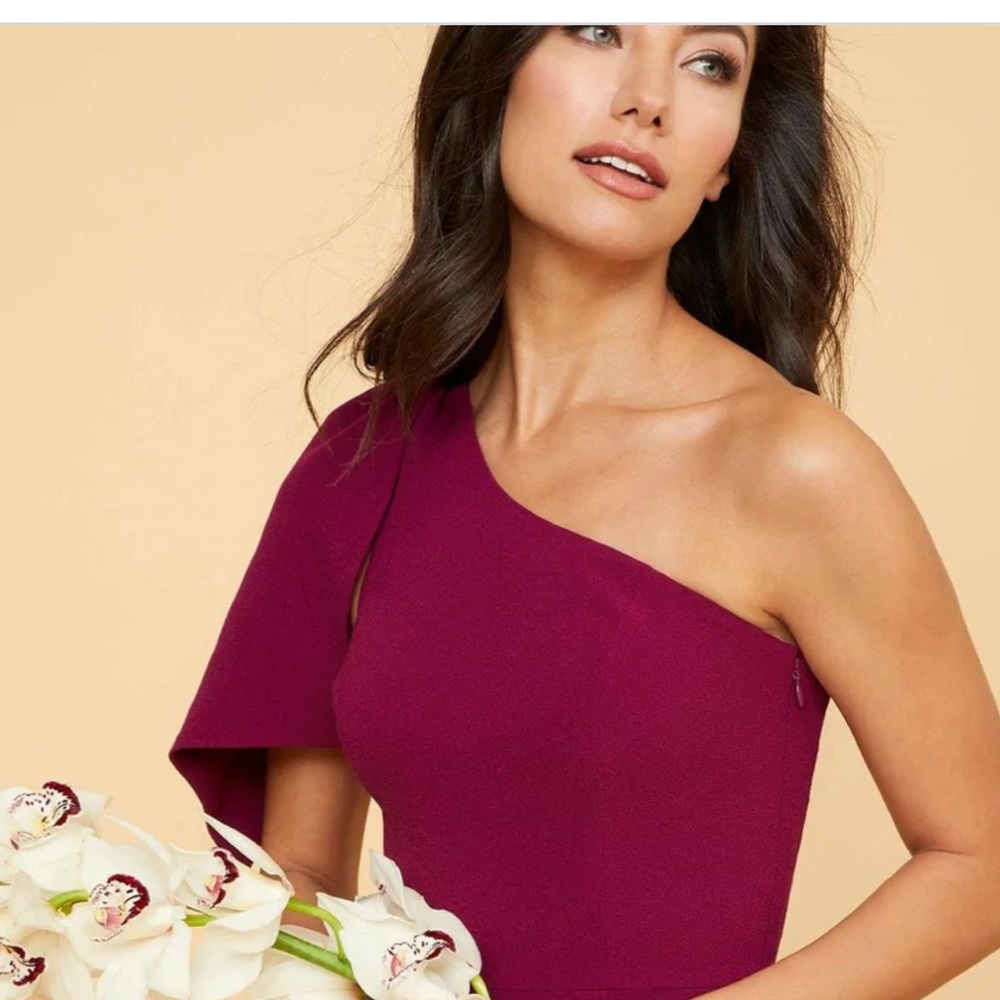 NWT Dress The Population